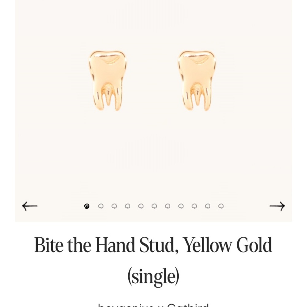 ISO catbird boygenius gold stud earring